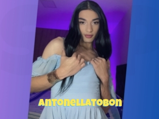 Antonellatobon