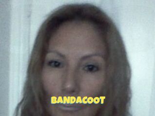 BANDACOOT