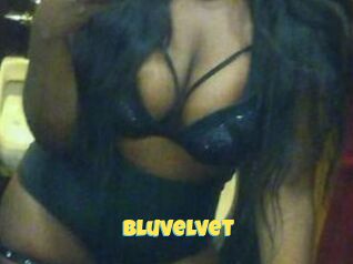 Bluvelvet