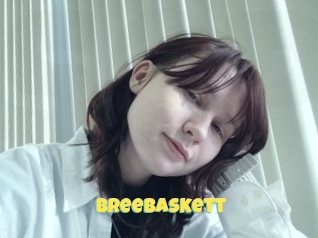 Breebaskett