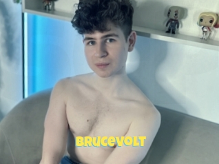 Brucevolt