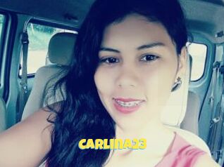 Carlina23