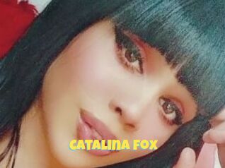 Catalina_fox