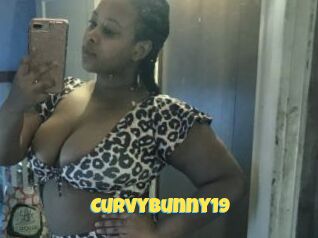 Curvybunny19