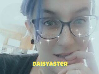 DaisyAster