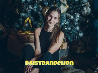 DaisyDandelion