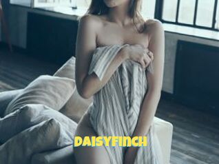 DaisyFinch