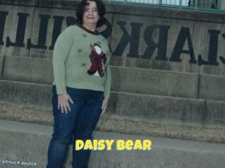 Daisy_Bear