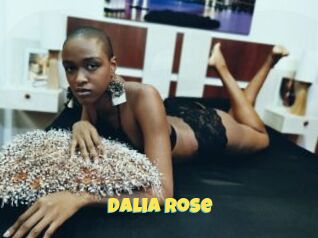 Dalia_Rose