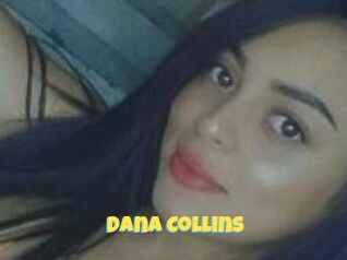 Dana_Collins