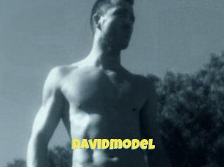 Davidmodel