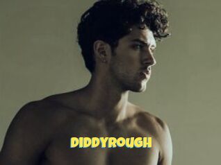 DiddyRough