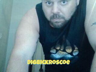 DigBickRoscoe