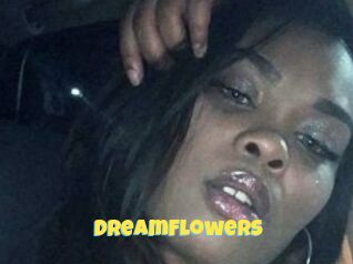 DreamFlowers
