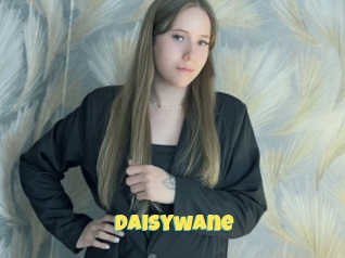 Daisywane