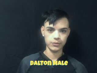 Dalton_Male