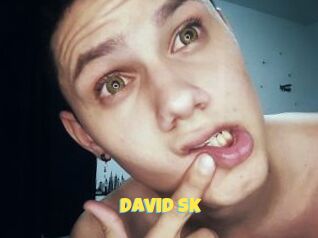 David_sk