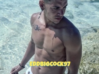 Eddbigcock97