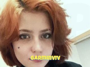 GarminViV