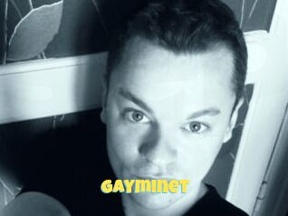 Gayminet