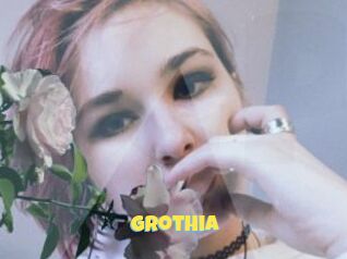 Grothia