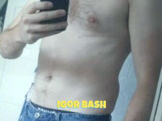 Igor_bash