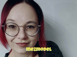 Inezmodel