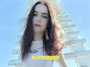 Kleinmird