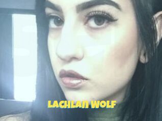 Lachlan_Wolf