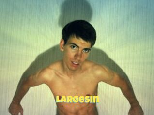 LargeSin