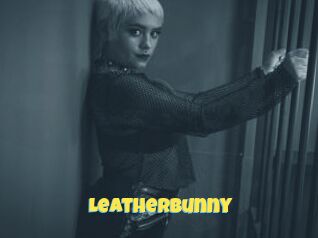 LeatherBunny