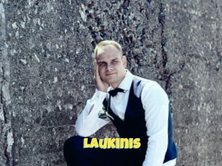 Laukinis