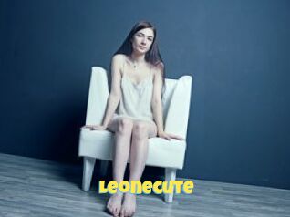 Leonecute