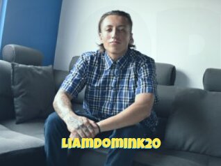 Liamdomink20