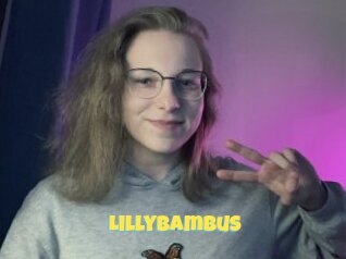 Lillybambus