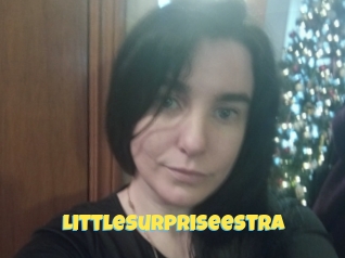 Littlesurpriseestra