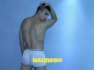 Malineiro