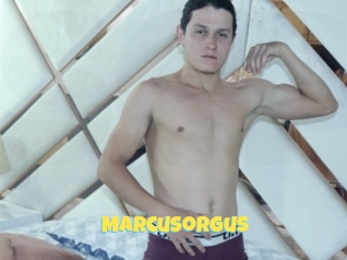 Marcusorgus