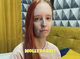 Mollyrabbit