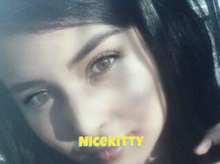 Nicekitty