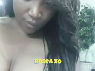 Rosea_XO