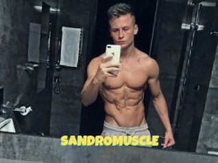 SANDRO_MUSCLE