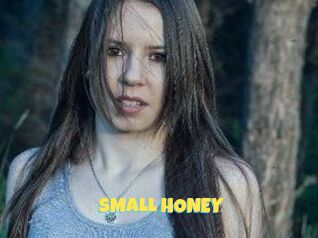 SMALL_HONEY