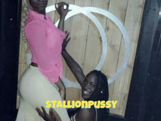 StallionPussy