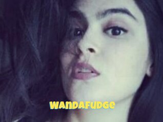 Wandafudge