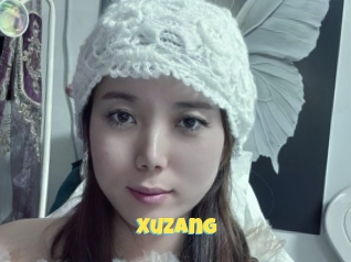Xuzang