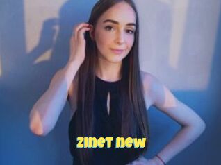 Zinet_new