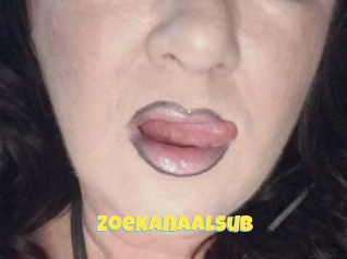 Zoekanaalsub